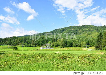 JR北海道根室本線、山部駅から金山駅までの風景(2023年夏) 133494342