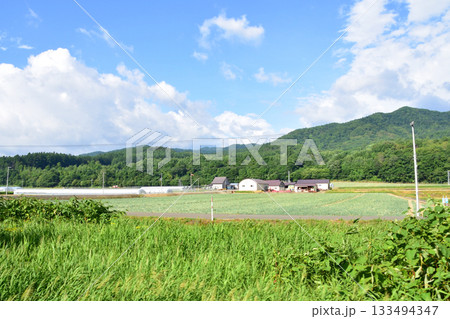 JR北海道根室本線、山部駅から金山駅までの風景(2023年夏) 133494347