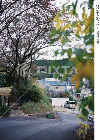 道路沿いに咲く桜の木 道路沿いに咲く桜の木 133494462