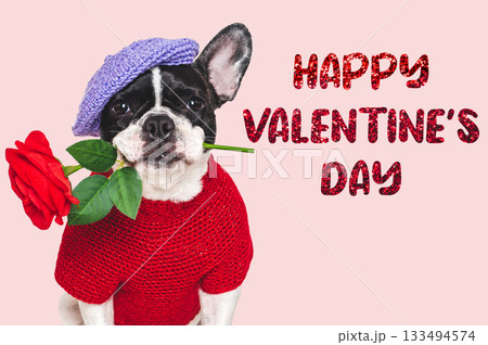 Happy Valentine's Day. Cute puppy and congratulatory inscription 133494574