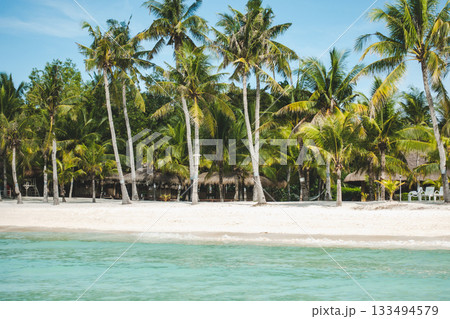 Stunning views of empty beach of the wonderful island 133494579