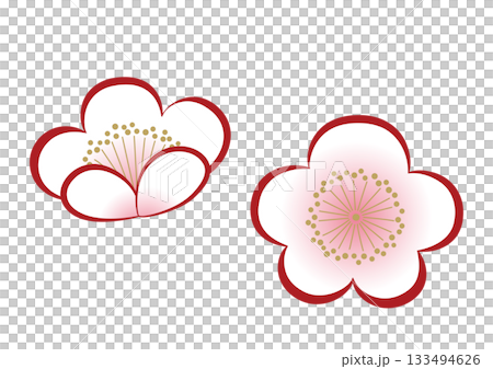 Illustration of a simple plum blossom 133494626