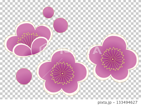 Purple plum illustration 133494627