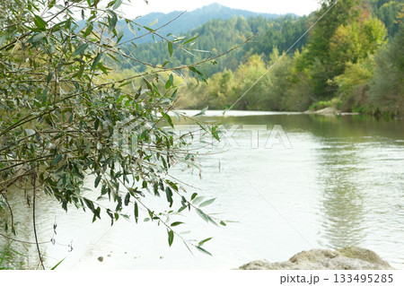 Stunning Mountain River Landscape and Forest View Stunning Mountain River Landscape and Forest View 133495285