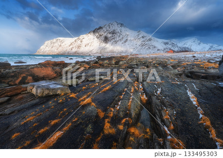 Snowy mountain coast with rocks and seaweed, Lofoten, Norway 133495303