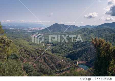 Swamp among lush Mediterranean forest, with village in the background. Swamp among lush Mediterranean forest, with village in the background. 133496506