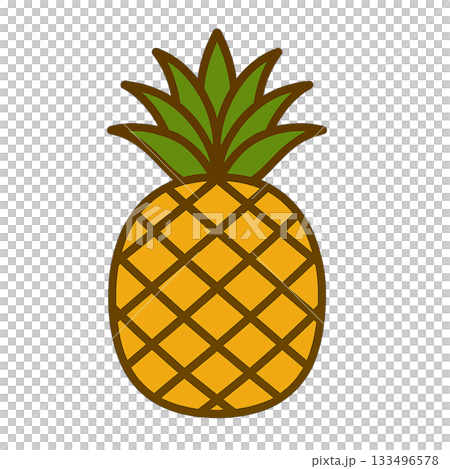 パイナップルのシンプルなイラスト 133496578