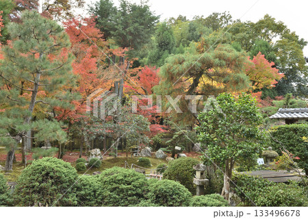 東福寺塔頭即宗院 秋の庭園 月輪殿(京都市東山区) 東福寺塔頭即宗院 秋の庭園 月輪殿(京都市東山区) 133496678