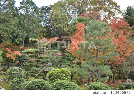東福寺塔頭即宗院 秋の庭園 月輪殿(京都市東山区) 東福寺塔頭即宗院 秋の庭園 月輪殿(京都市東山区) 133496679