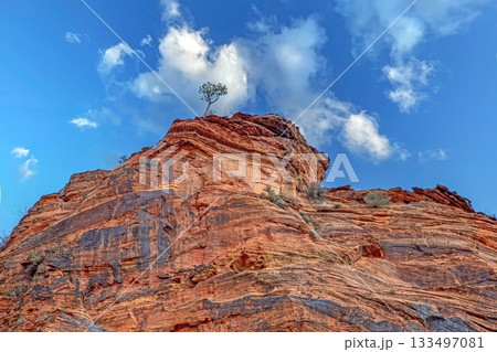 Southwest USA sandstone canyon landscape 133497081