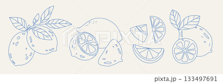 Lemon doodle set with slices and leaves Lemon doodle set with slices and leaves 133497691