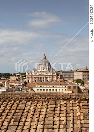 Aerial view of the Italian capital in summer 133498524