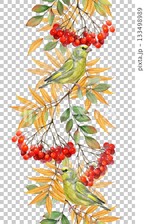 Watercolor seamless border with a green bird perched among rowan branches, red berries, and fall leaves. Autumn nature hand drawn illustration. Realistic drawing for cards, invitations, packaging  133498989