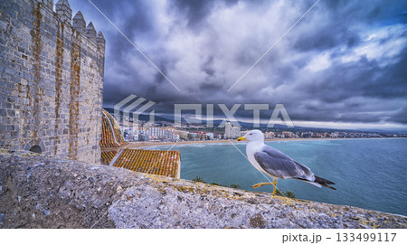 Peniscola, Spain Peniscola, Spain 133499117