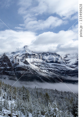 雲海と雪のロッキー山脈と森_縦 雲海と雪のロッキー山脈と森_縦 133499828