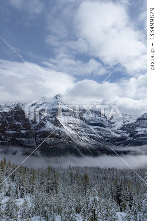 雲海と雪の針葉樹｜ロッキー山脈｜縦 133499829