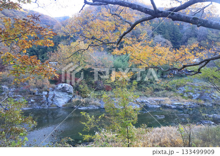 長瀞 荒川 長瀞 荒川 133499909