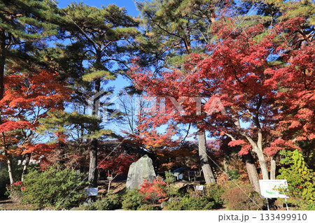 月の石もみじ公園　紅葉 133499910