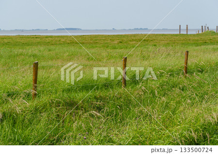 ditzum at the ems river 133500724