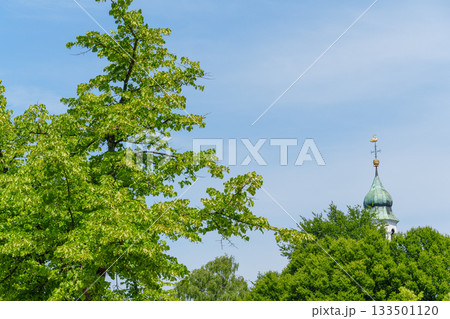 leer city  in east frisia 133501120