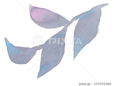 ブルーグレーの葉のイラスト 133501269