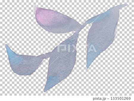 ブルーグレーの葉のイラスト 133501269
