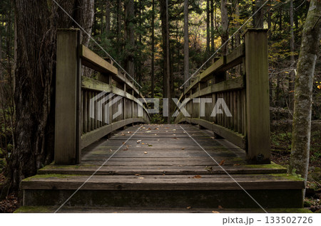 滝川渓谷にかかる木製の橋 133502726