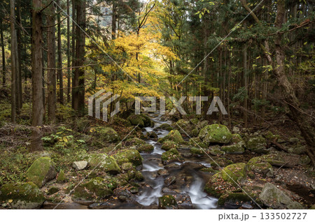 晩秋の滝川渓谷の流れと紅葉 133502727
