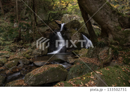 晩秋の滝川渓谷の流れと紅葉 133502731