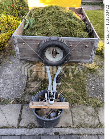 A trailer with sides made of wood and metal, loaded with freshly cut grass and garden waste 133503422