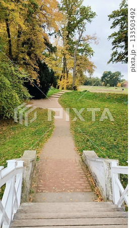 An autumn path in a park with wooden steps and yellow trees 133503492