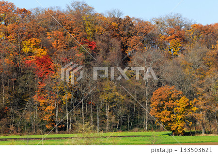 北海道の紅葉 北海道の紅葉 133503621