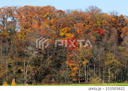北海道の紅葉 133503622