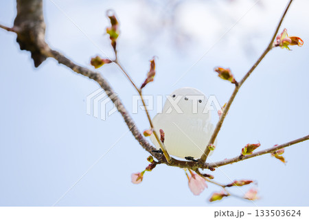 シマエナガの置物と桜 シマエナガの置物と桜 133503624
