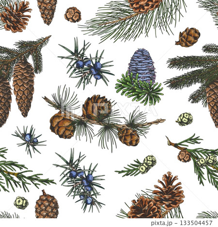 Conifer trees branches with cones collection hand drawn vector seamless pattern, pine, Cypress, fir, Juniper sketch 133504457
