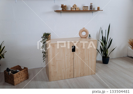 Modern wooden storage cabinet in minimalist interior with decor and plants 133504481
