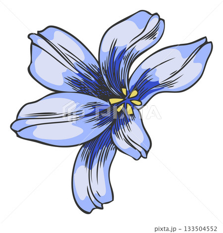 Hyacinth flower sketch vector icon, hand drawn spring blue bud blossom plant, blooming herb, botanical design Hyacinth flower sketch vector icon, hand drawn spring blue bud blossom plant, blooming herb, botanical design 133504552