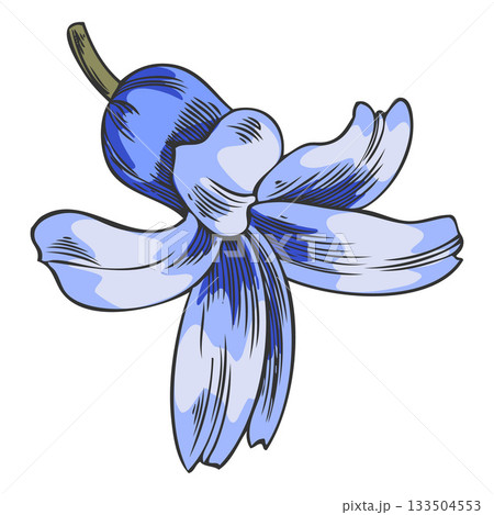 Hyacinth flower sketch, vector hand drawn spring blue bell-shaped bud blossom plant, blooming herb, botanical design Hyacinth flower sketch, vector hand drawn spring blue bell-shaped bud blossom plant, blooming herb, botanical design 133504553