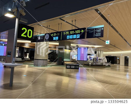 関西国際空港　国際線出発ターミナル 133504625