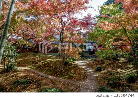 苔庭のある寺院と紅葉で知られる最勝寺【茨城県筑西市】 133504744