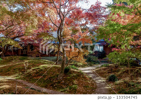 苔庭のある寺院と紅葉で知られる最勝寺【茨城県筑西市】 苔庭のある寺院と紅葉で知られる最勝寺【茨城県筑西市】 133504745