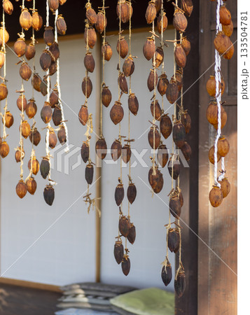 干し柿のクローズアップ 干し柿のクローズアップ 133504781