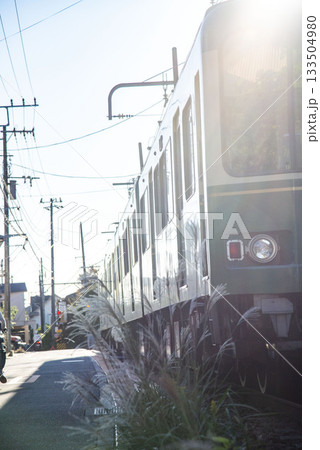 鎌倉2511 江ノ電3 すすき 鎌倉2511 江ノ電3 すすき 133504980