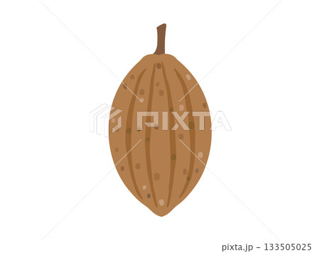 カカオの実をイメージしたイラスト 133505025