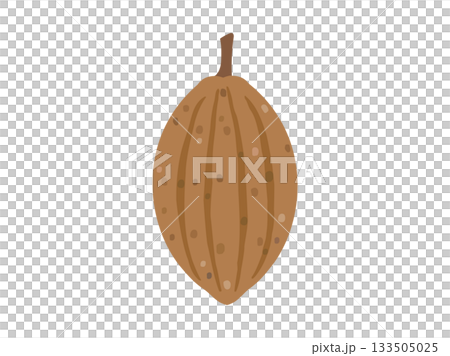 Illustration of a cacao bean Illustration of a cacao bean 133505025