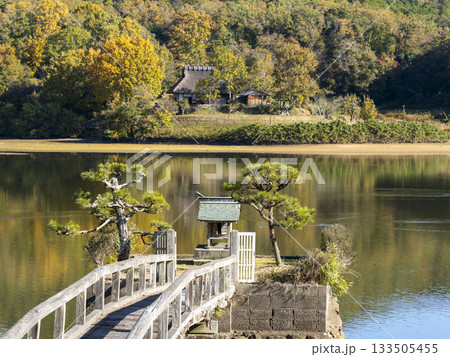 池に祀られた神社と茅葺きの古民家 池に祀られた神社と茅葺きの古民家 133505455