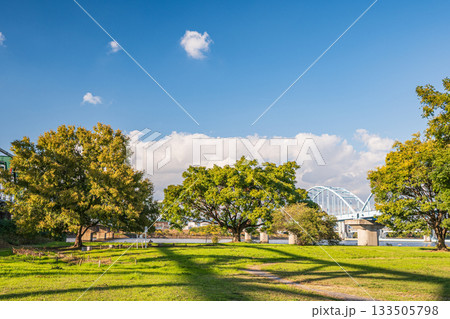 秋の淀川河川公園長柄地区風景　大阪市 133505798