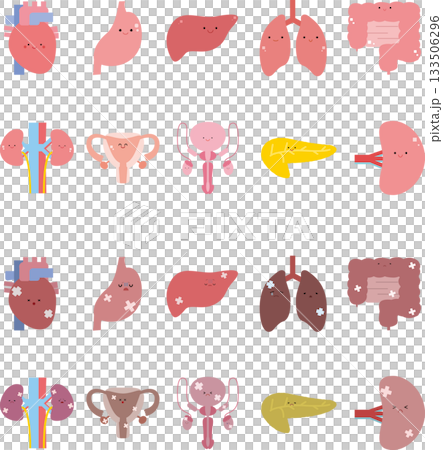 可愛的內臟器官插圖集 133506296