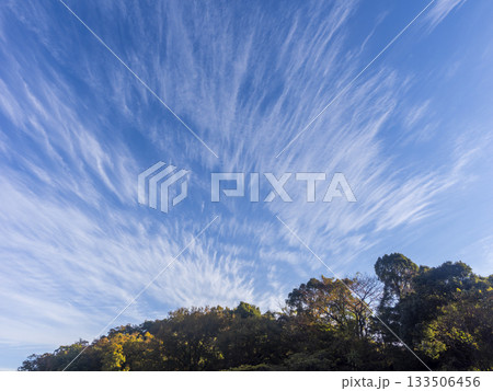 秋晴れの空と紅葉の山 133506456