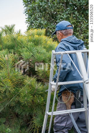 Japanese Gardener Japanese Gardener 133506520